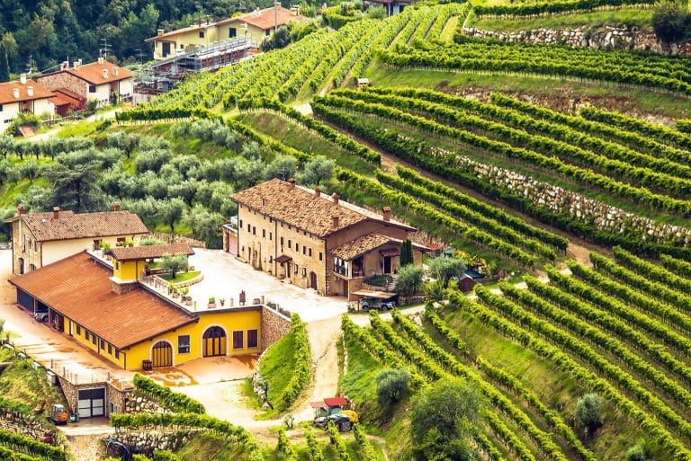 Venetos mange flagskibe