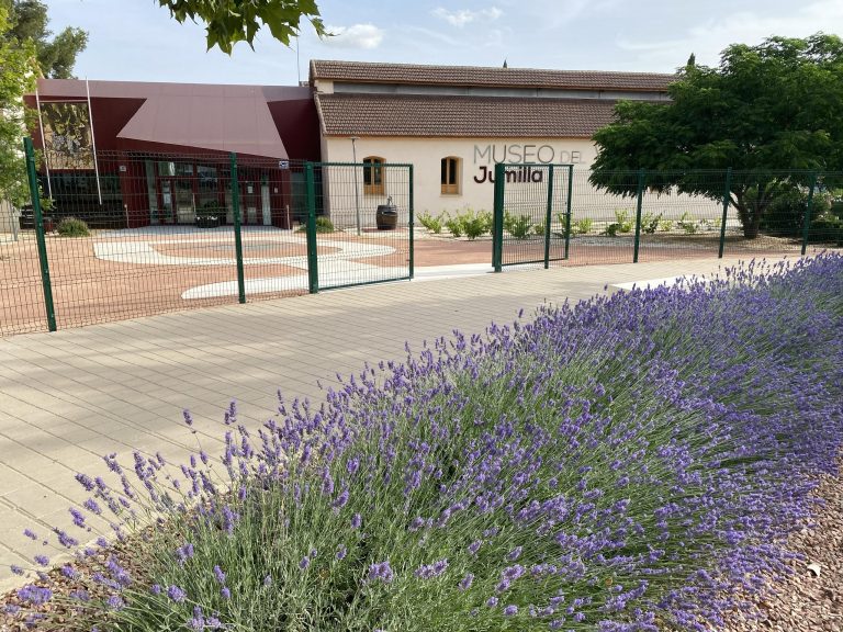 museo del jumilla er egnens vinmuseum og forholdsvis nyåbnet. I navnet er der ikke lagt vægt på, at det er et vinmuseeum. Det må besøgende kunne sige sig selv.